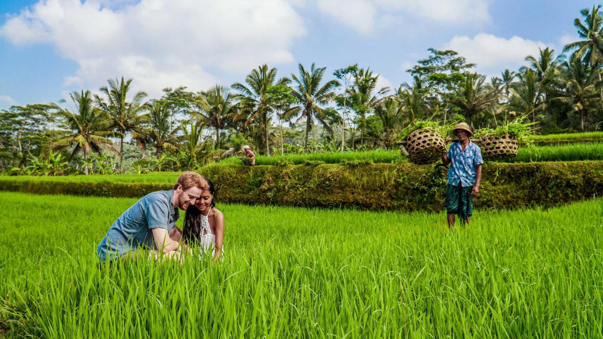 Dewi Tara Haven Bed & Breakfast Gianyar  Bagian luar foto