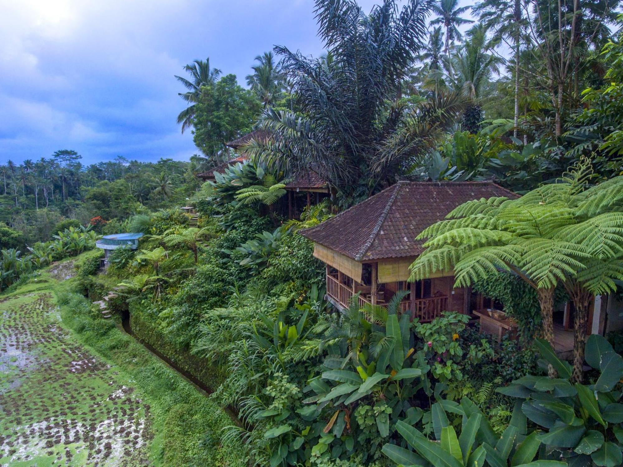 Dewi Tara Haven Bed & Breakfast Gianyar  Ruang foto
